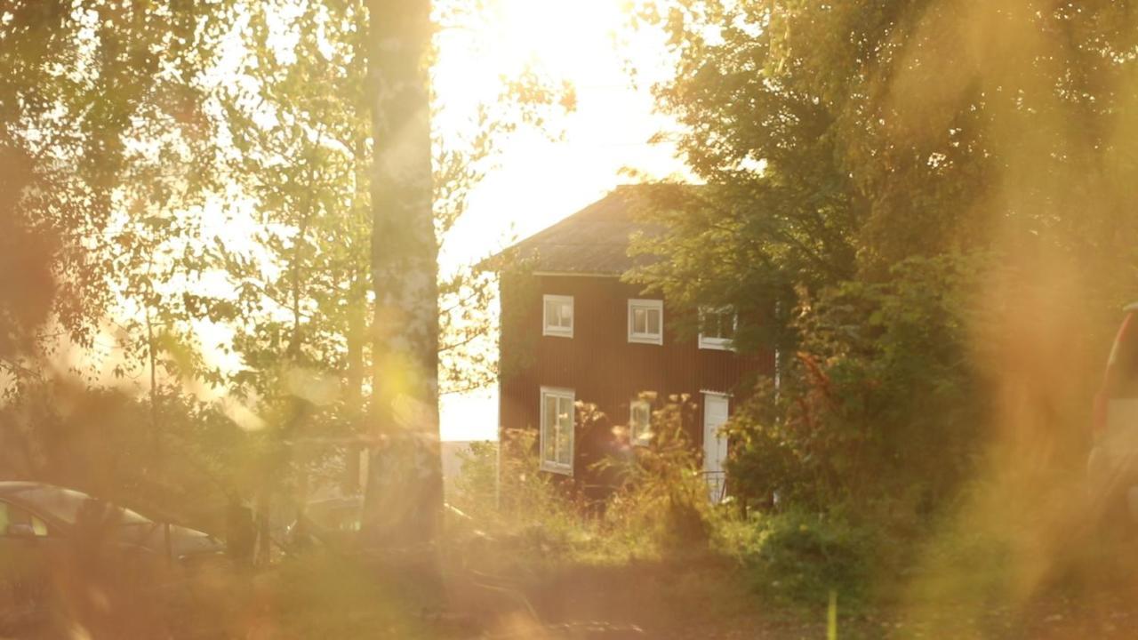 Cozy Stuga - Mountain View Ramsele Exterior photo